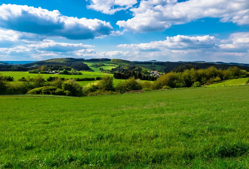 Izby rolnicze w Austrii mają ogromny wpływ na sektor spożywczy