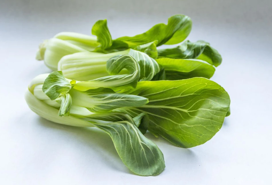 Kapusta pak choi: kiedy siać, jak uprawiać i jakie odmiany wybrać?