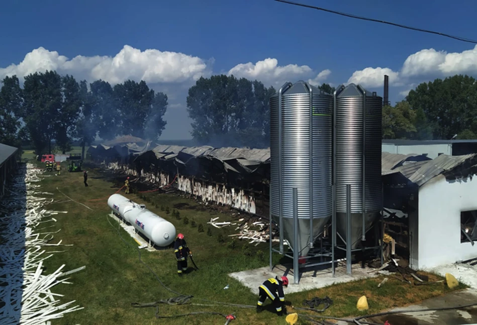 Lubuskie: olbrzymi pożar kurnika