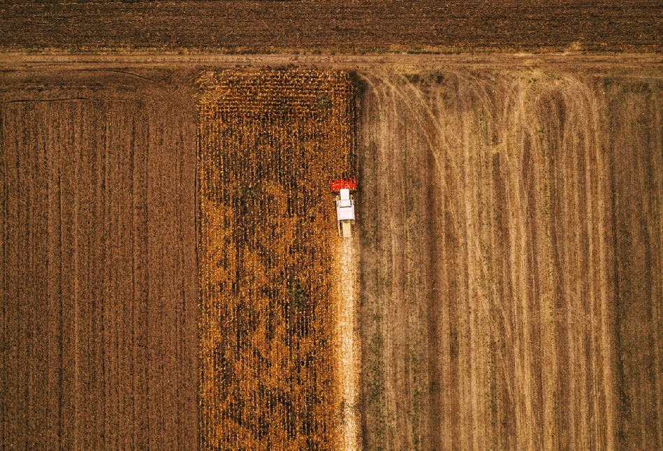 Ile ziemi ma Skarb Państwa? Zobacz aktualne dane z podziałem na województwa!