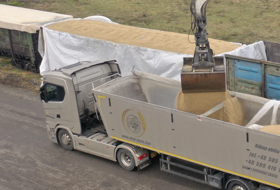 Zboża z Ukrainy wjadą bez kontroli fitosanitarnej. Nowe procedury mają przyspieszyć transport