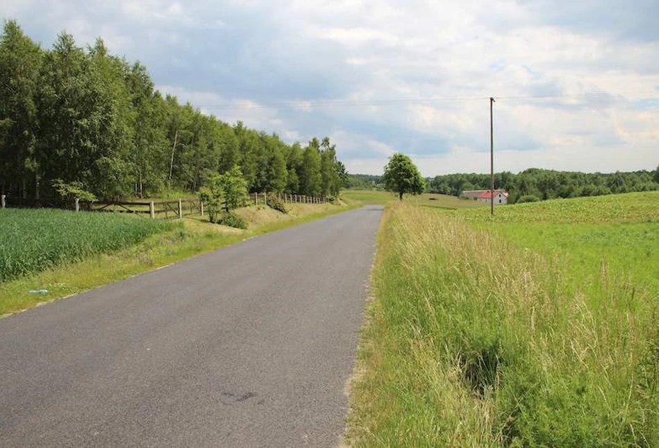 Rolnik przeorał drogę, ale gmina nie poniosła strat – wręcz przeciwnie