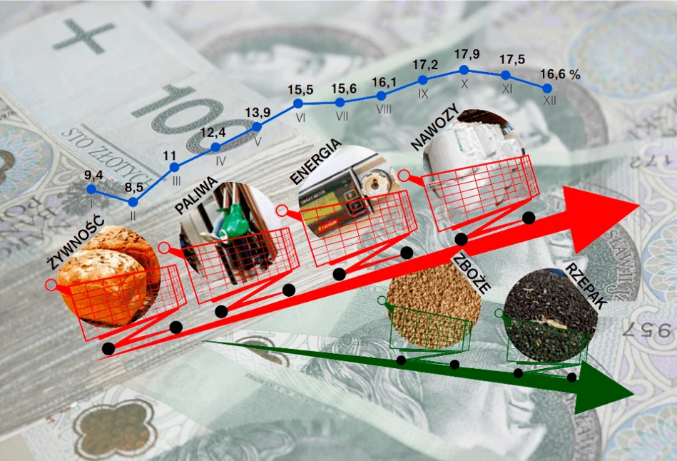 Ceny żywności, nawozów, paliwa, energii w górę – zboża i rzepak w dół