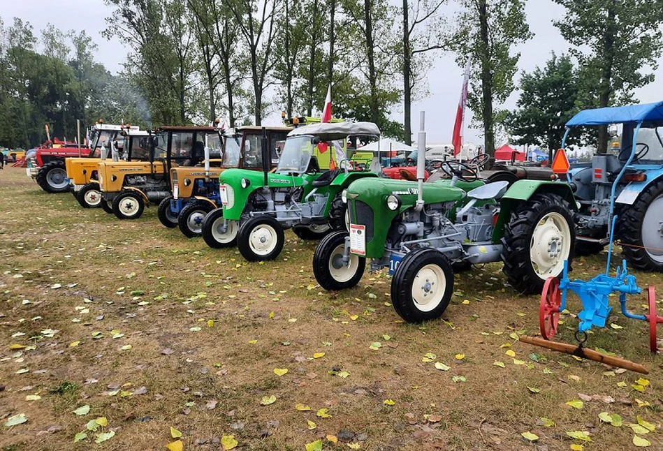 Festiwal starych ciągników w Wilkowicach 2022. Zobacz setki zabytkowych traktorów [FOTO]