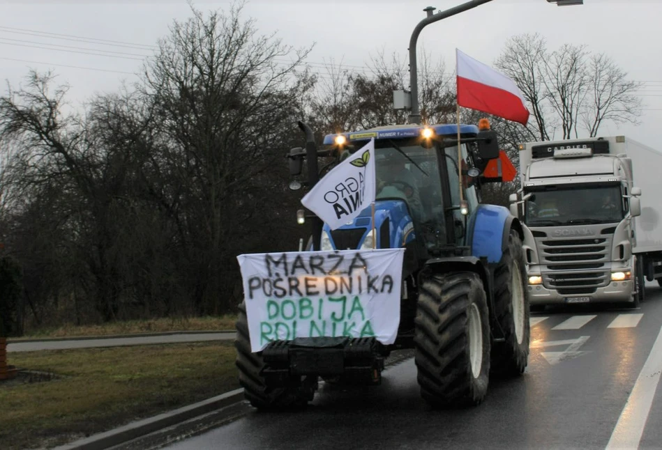 Polscy rolnicy powinni zarabiać jak farmerzy z Hiszpanii. Czyli ile?