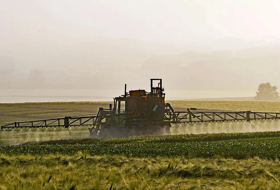 Ochronę zbóż trzeba zmienić i dopasować do zmian agroklimatu