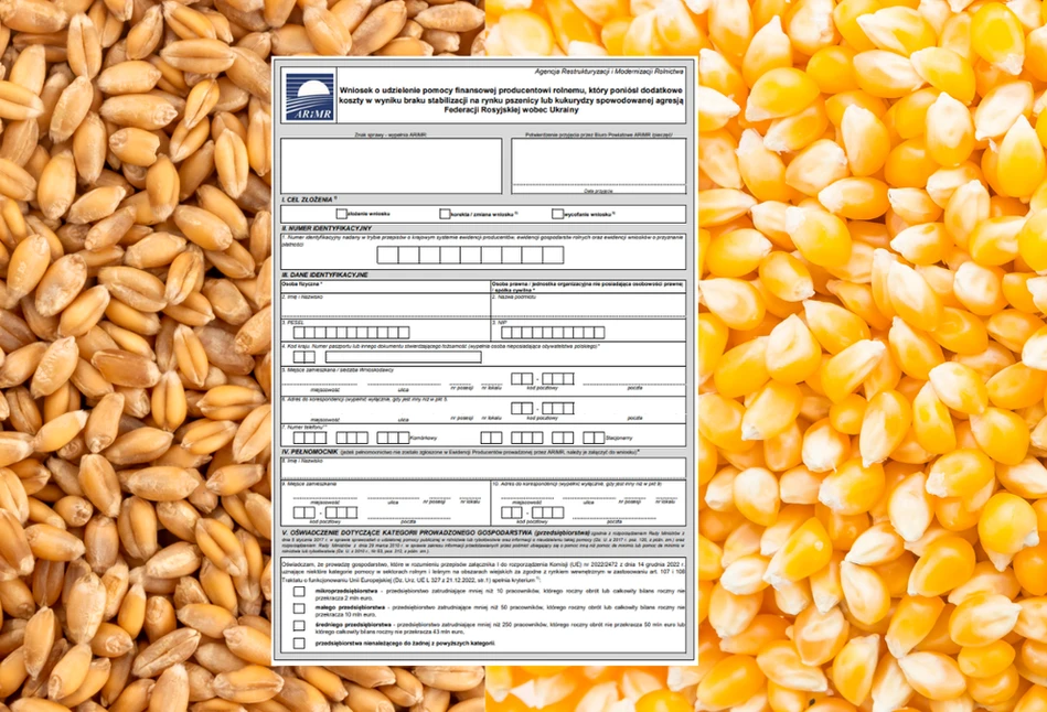 Dopłaty do zbóż 2023: Pobierz wzór wniosku o pomoc dla producentów pszenicy i kukurydzy!