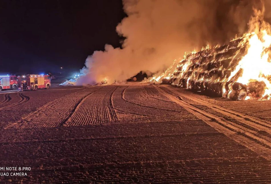 Rolnicy z Wielkopolski mają dość. Dają 5000 zł nagrody za ujęcie podpalacza