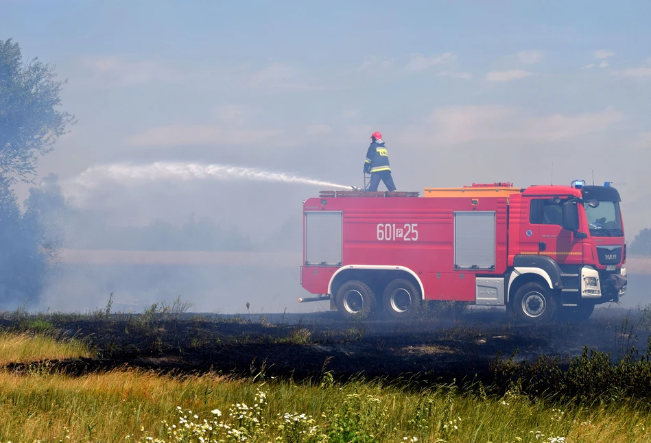 Jaka kara grozi rolnikowi za wypalanie traw i nieużytków?