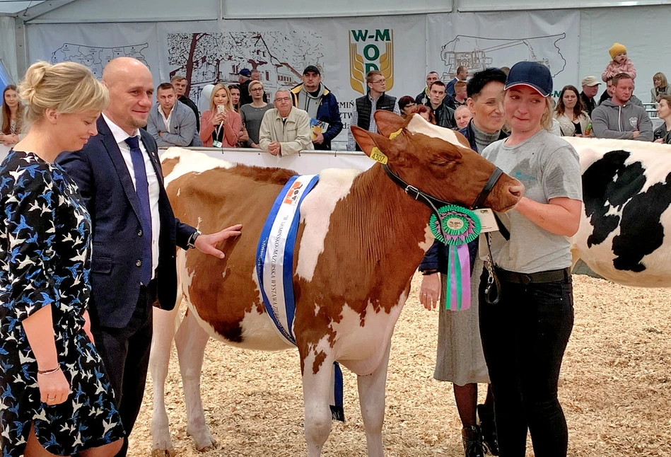 Najpiękneijsze krowy podczas Targów Rolnych Zagroda 2019