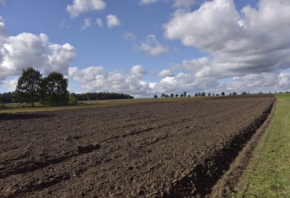 Przedłużenie zakazu sprzedaży ziemi państwowej – dziś odbyło się pierwsze czytanie rządowego projektu