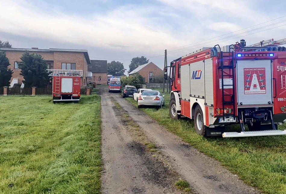 Stado jedenastu byków zaatakowało rolnika. Zginął na miejscu!