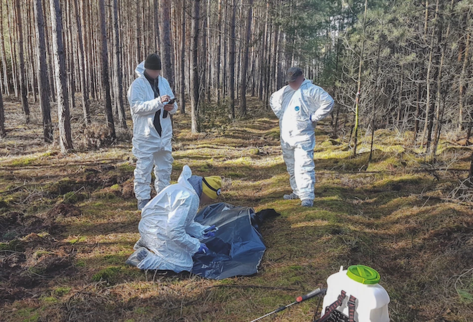 Leśnicy i myśliwi vs wirus - jak to wygląda na froncie?