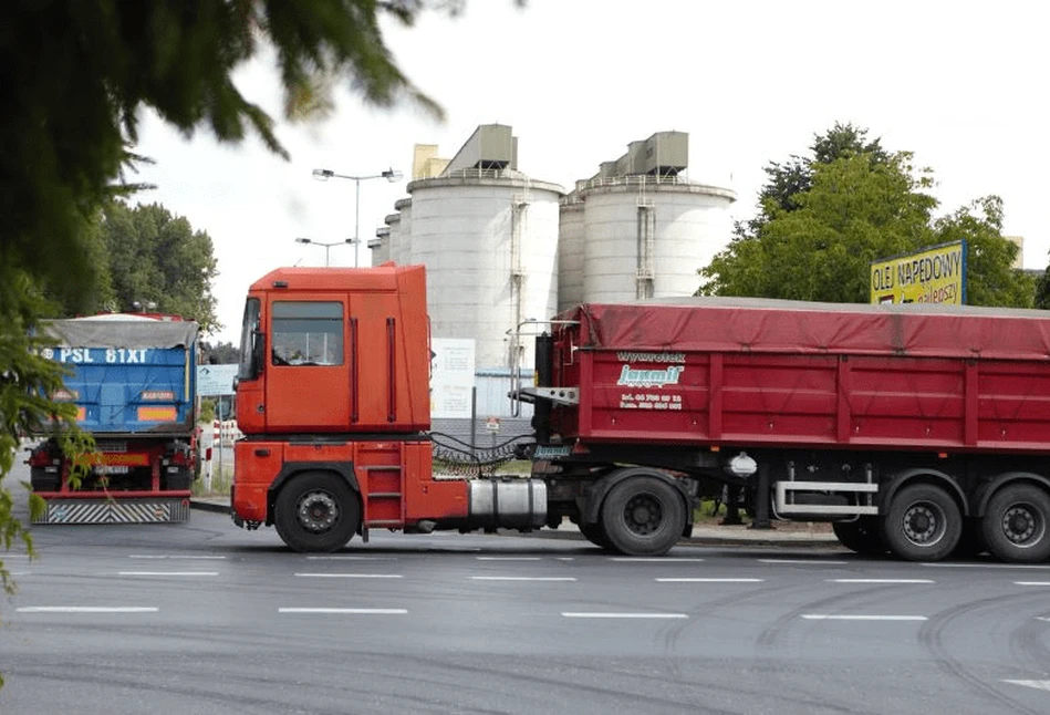 Rynek rzepaku: jest co tłoczyć, rośnie przerób