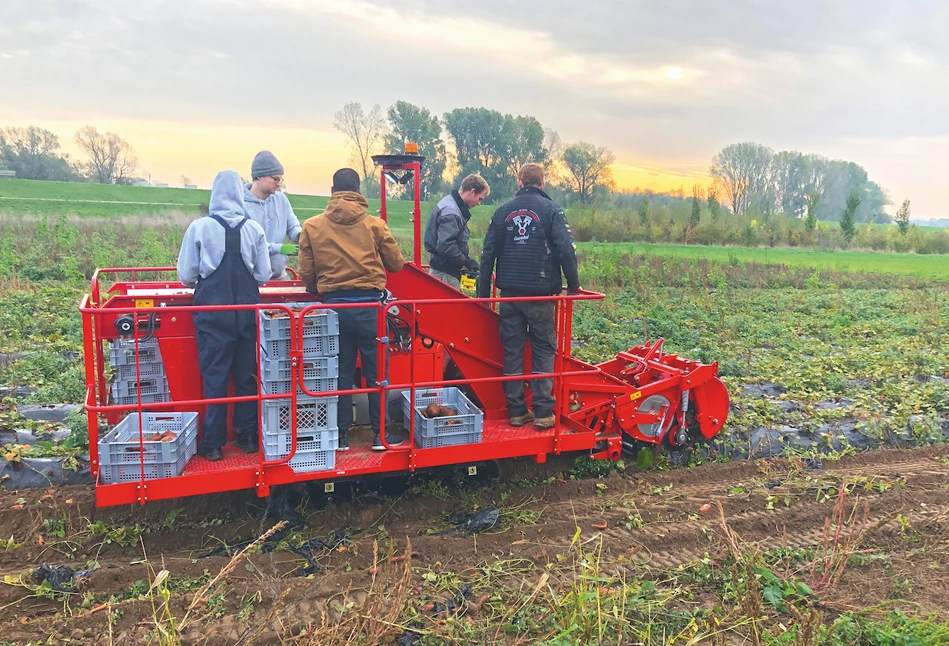 Autonomiczny kombajn do zbioru batatów