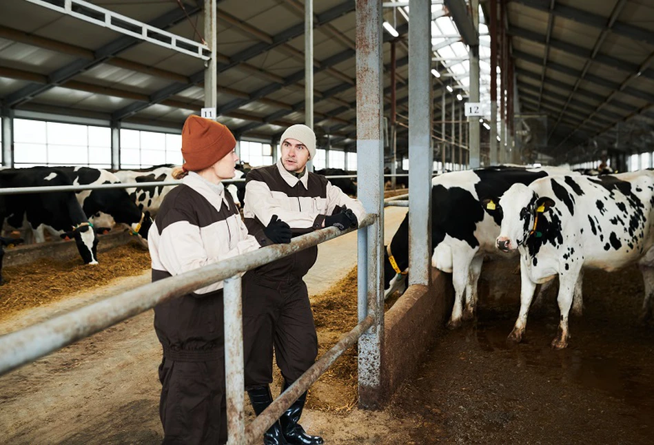 Jak rolnicy oceniają swoją pracę, gospodarstwa, zarobki i rozwój?