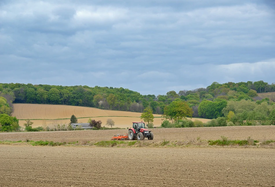 Zwiększanie poziomu próchnicy w glebie – jaką agrotechnikę zastosować?