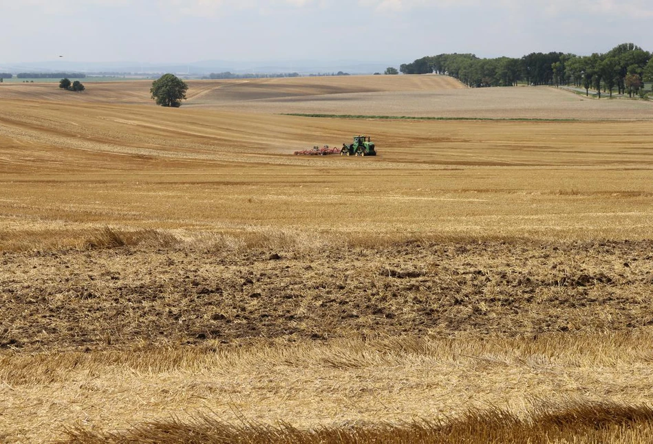 Prywatny obrót ziemią w Polsce. Jakie uprawnienia ma KOWR wobec rolników?