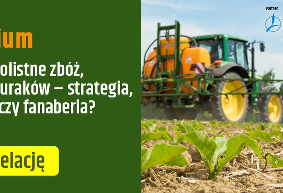 Nawożenie dolistne zbóż, kukurydzy, buraków – strategia, interwencja czy fanaberia? – zobacz relację z webinarium!