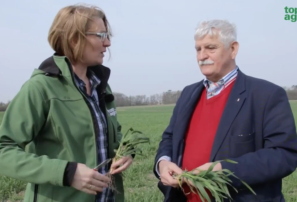 Pogotowie polowe TAP: Czym chronić i skracać zboża?