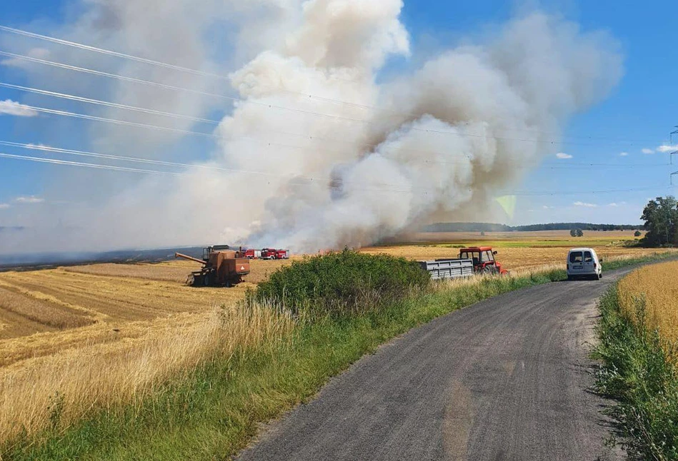 Duże pożary zbóż w Wielkopolsce. Rolnicy i strażacy walczyli z żywiołem [FOTO]