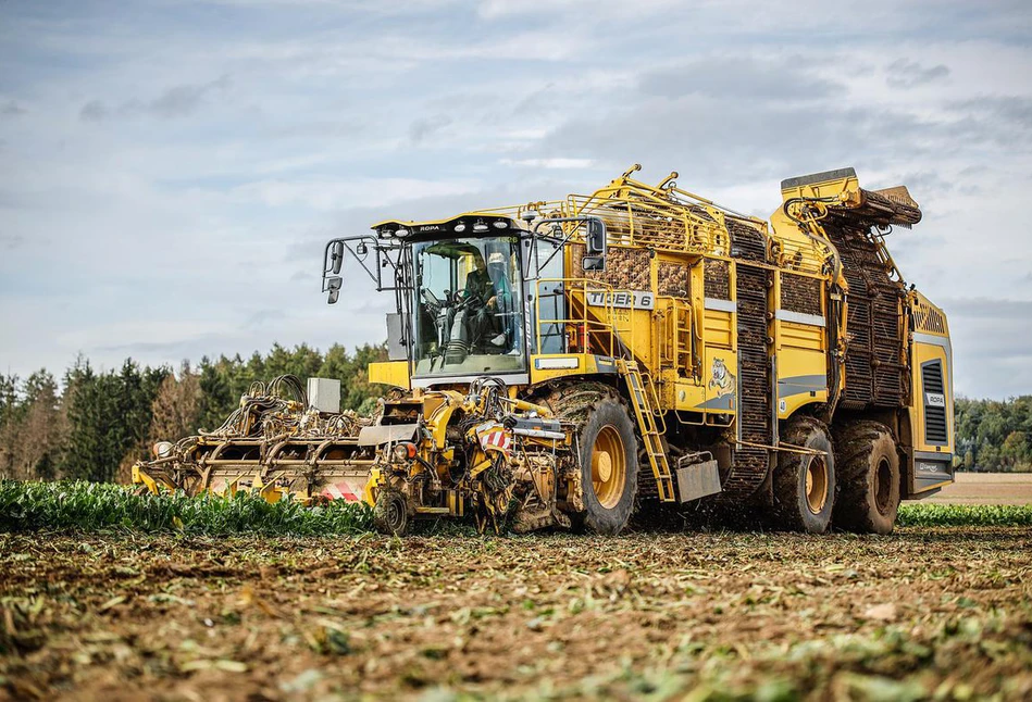 Jakie będą zbiory buraków cukrowych u plantatorów z Pfeifer & Langen?