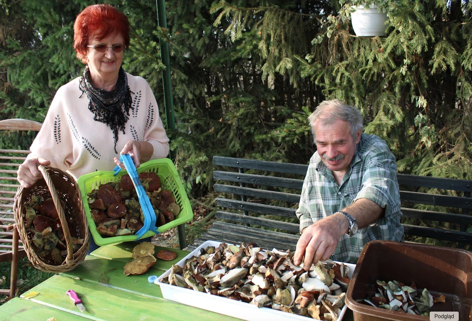 KGW Ekosłowianki z Rakowic Wielkich – ich produkty budzą podziw wśród wegetarian