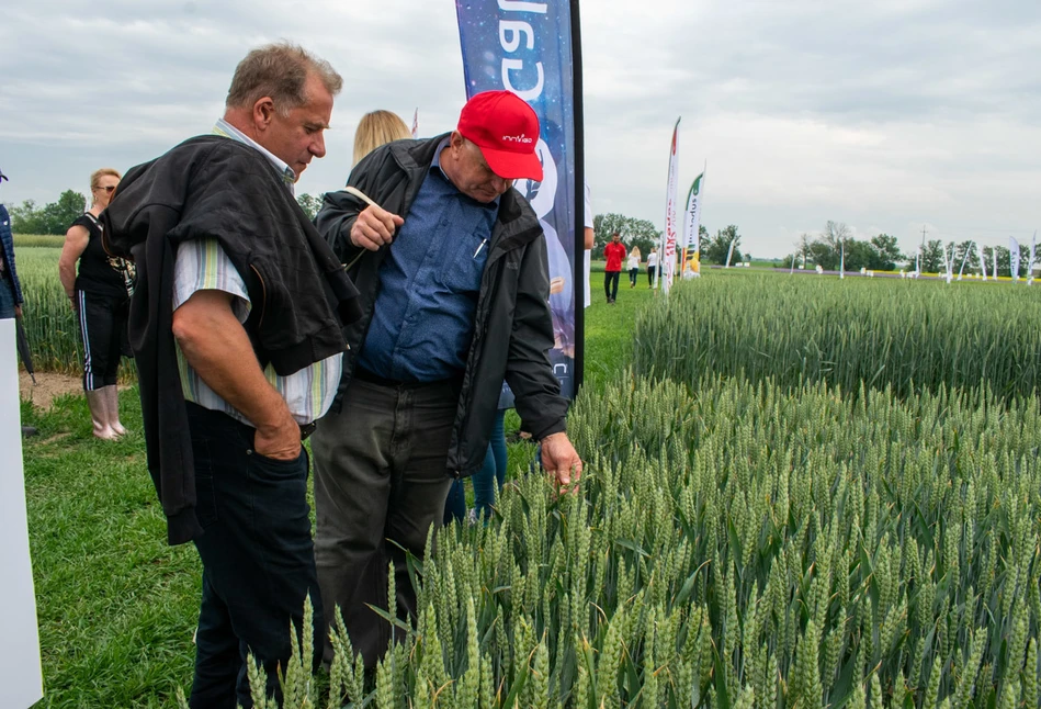 Jakie nowości podczas Dni Pola w Nagradowicach?