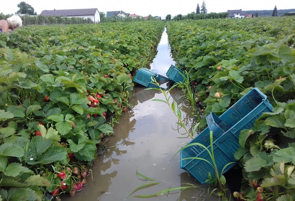 Gminy rozpoczynają przyjmowanie wniosków o szacowanie strat po deszczu nawalnym