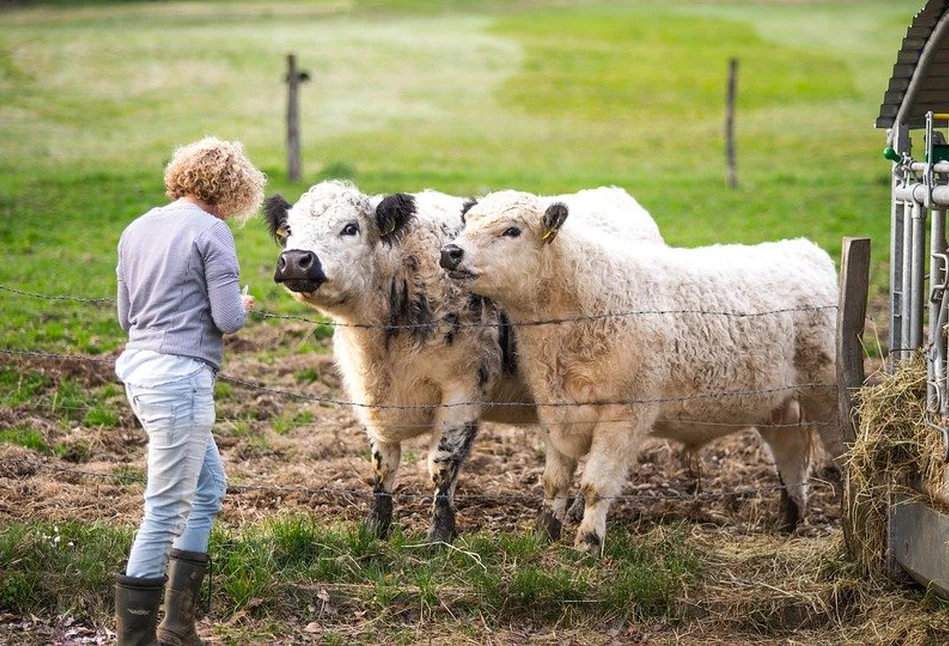 Koronawirus w Polsce: chorobowe dla rolników ma być wyższe