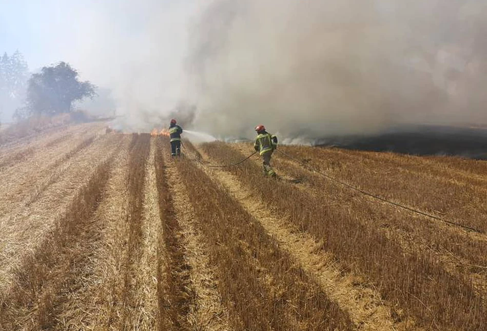 OGROMNY pożar w zachodniopomorskim. Ogień strawił 95 ha ścierniska i 3 ha lasu