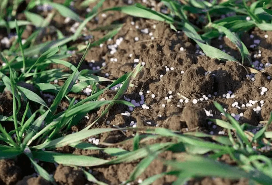 Jakie ceny nawozów? Agrochem Puławy podaje nowe stawki!