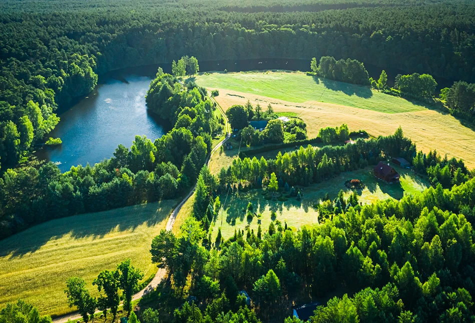 Zakaz przekształcania i orania trwałych użytków zielonych należących do Natura 2000