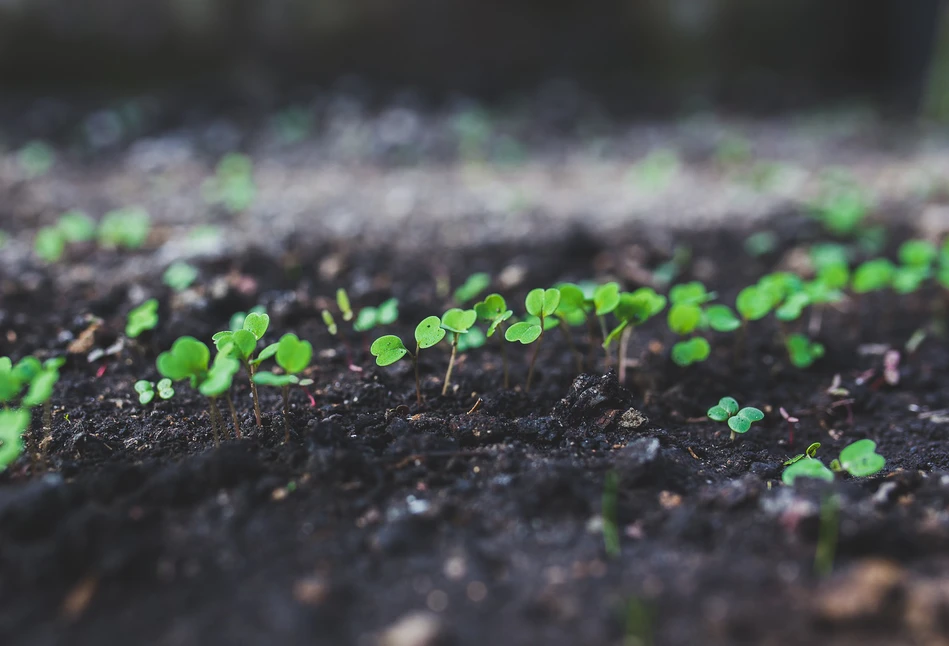 Kalendarz biodynamiczny na kwiecień 2020