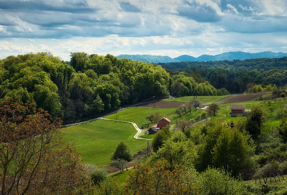 Od wejścia do Unii Europejskiej, produkcja rolna w Chorwacji wzrosła aż o 60%