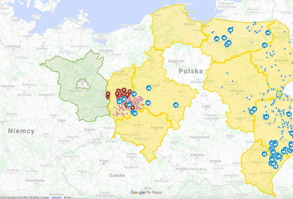 Już 7 przypadków ASF w Niemczech