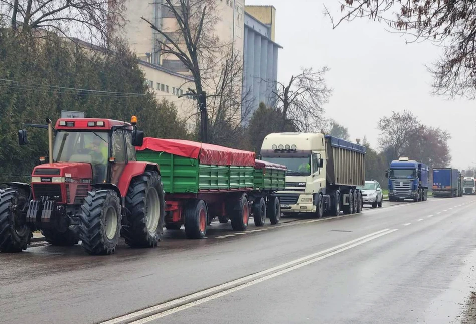 Ponury raport rynkowy: ceny zbóż i świń w dół, a ceny paliw w górę