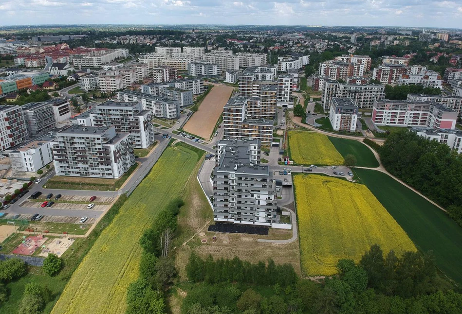 Co dalej z uprawami na osiedlu w Lublinie? Najbardziej znany lubelski rolnik mówi o swoich planach