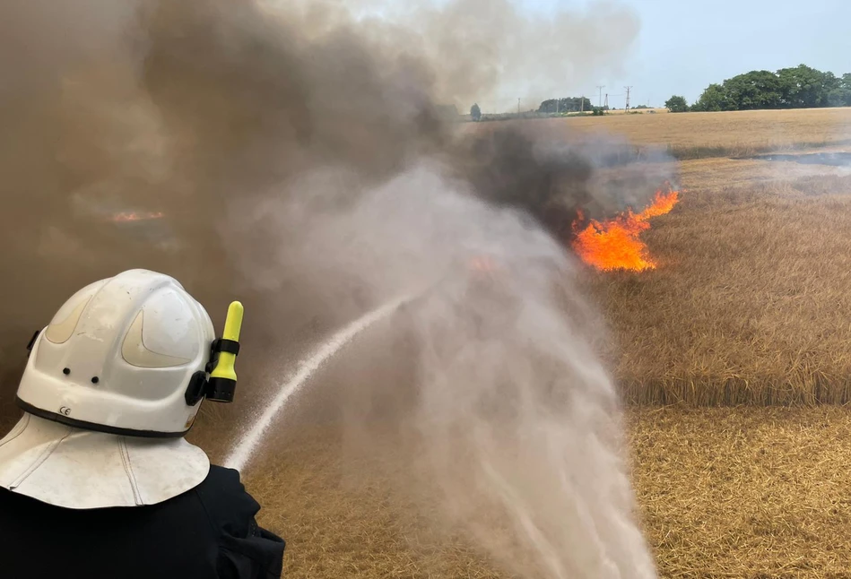 16 hektarów zboża spłonęło tuż przed zbiorem. Duże straty rolników