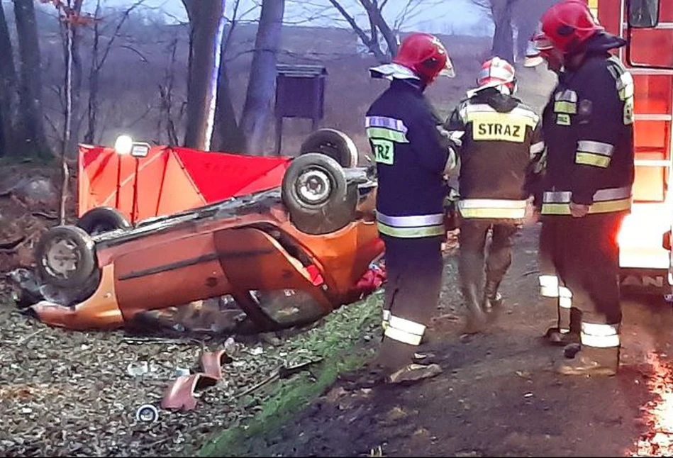 Dachowała, bo chciała ominąć dzika