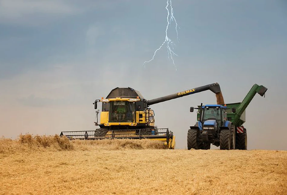 Raport USDA: kolejna korekta zbiorów pszenicy