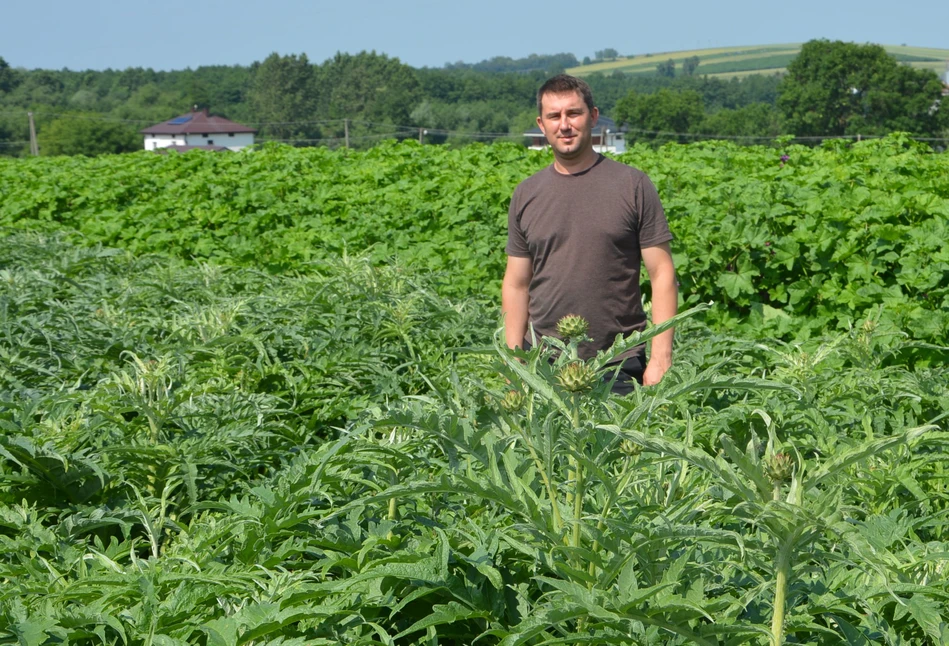 30 ha zioła na własny rachunek