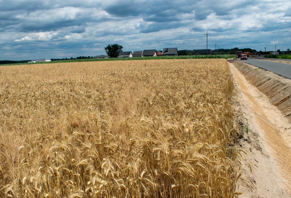 Geodeci tak dzielili, że działkę rolnika zmniejszyli