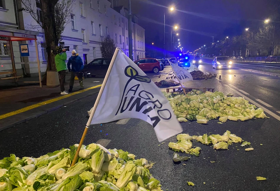 Kapusta, seler, ziemniaki i jajka w okolicy domu Jarosława Kaczyńskiego