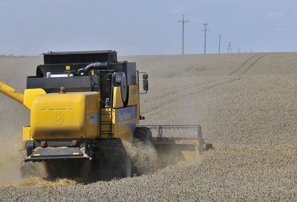 Ceny płodów rolnych będą szybko rosły. Koszty produkcji też [RAPORT]