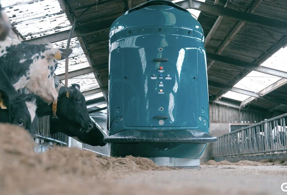 Robot żywieniowy GEA DairyFeed F4500 już niedługo zagości w europejskich oborach