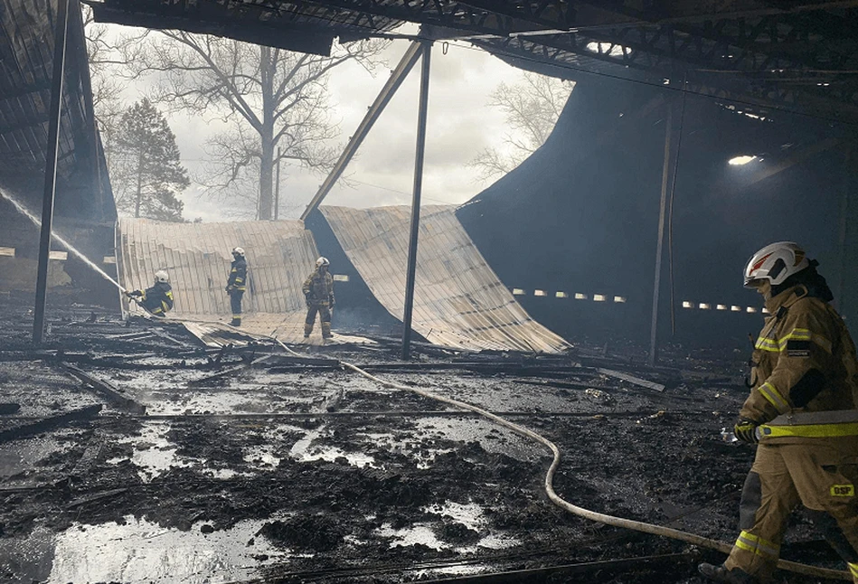 Gigantyczny pożar kurnika w Ruskiej Wsi – milionowe straty