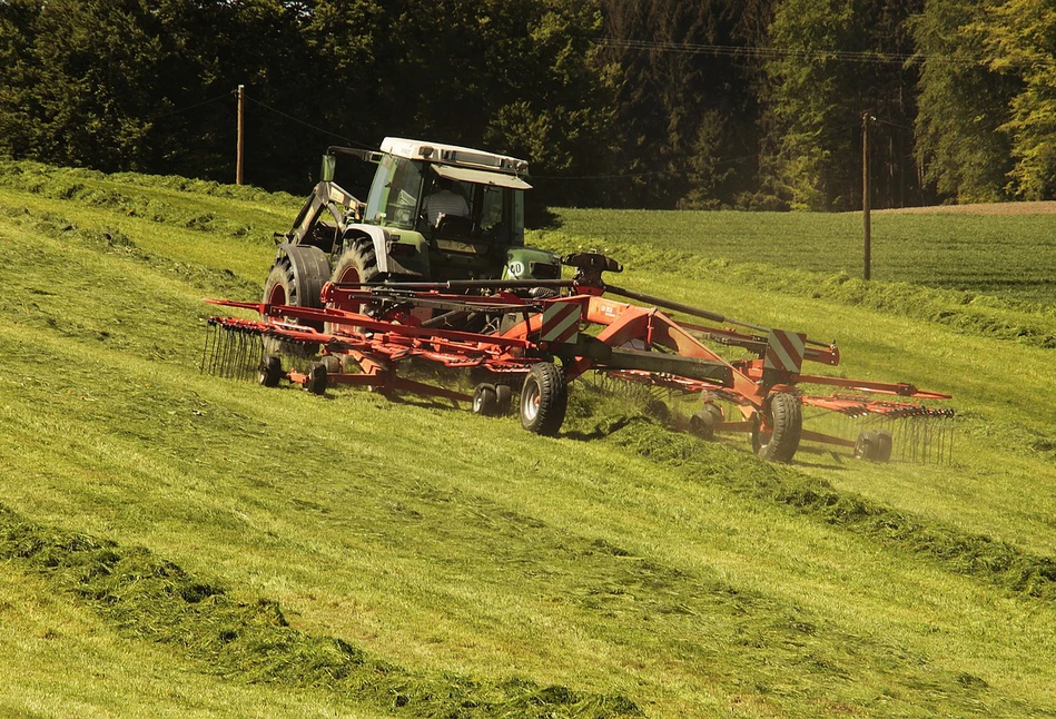 Jakie są kary za bezumowne użytkowanie państwowej ziemi?