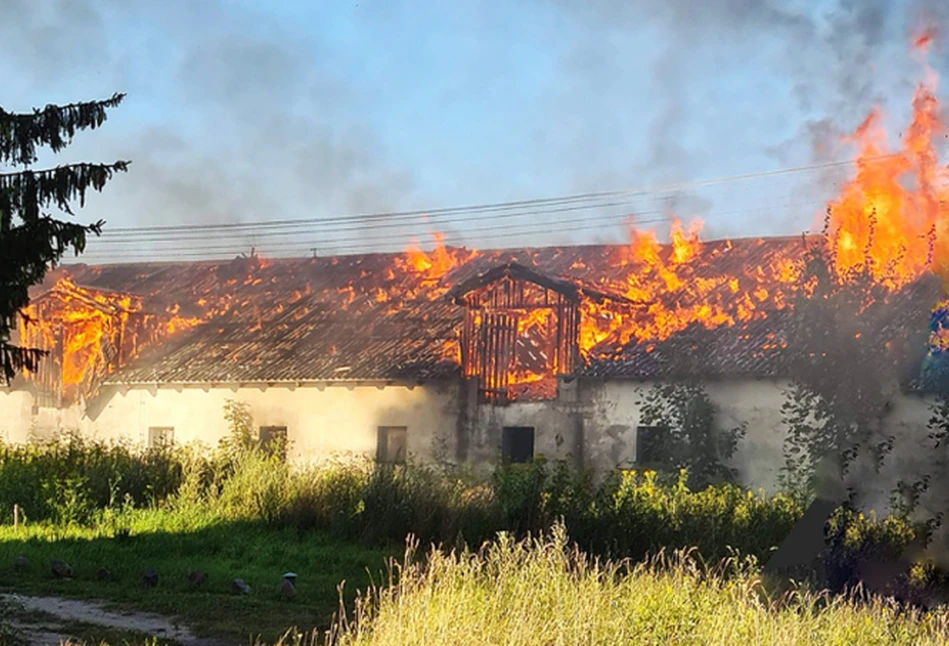 Rolnicy skarżą się na działania ubezpieczycieli. Raport rzecznika finansowego