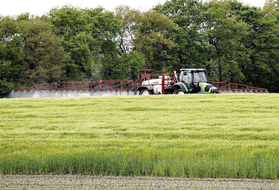 JBS, gigant z Brazylii chce produkować nawozy